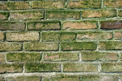 mur